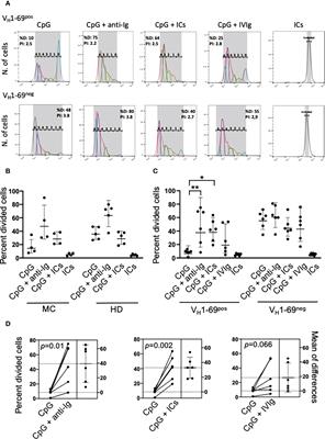 Dual stimulation by autoantigen and CpG fosters the proliferation of exhausted rheumatoid factor-specific CD21low B cells in hepatitis C virus-cured mixed cryoglobulinemia